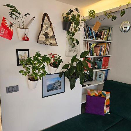 Apartman Carnevalus 里耶卡 外观 照片