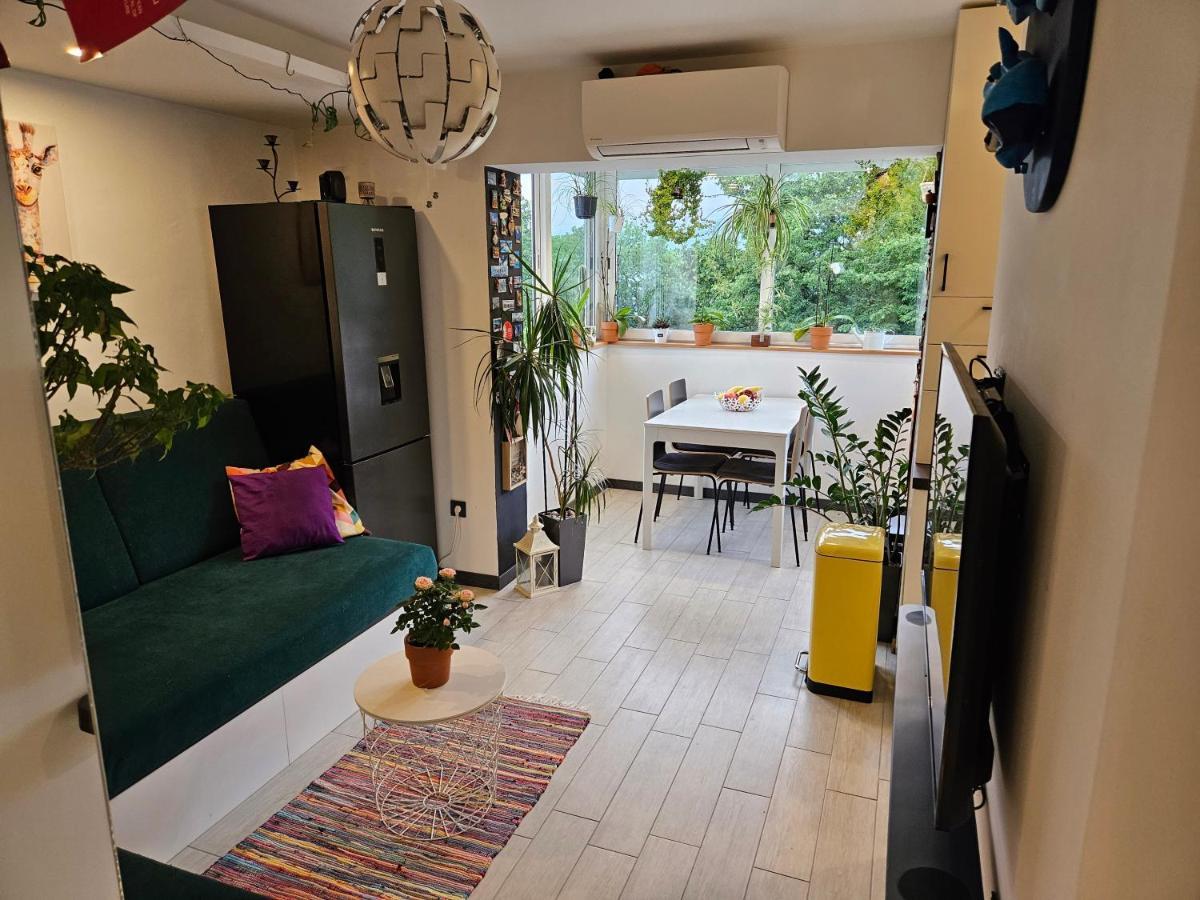 Apartman Carnevalus 里耶卡 外观 照片