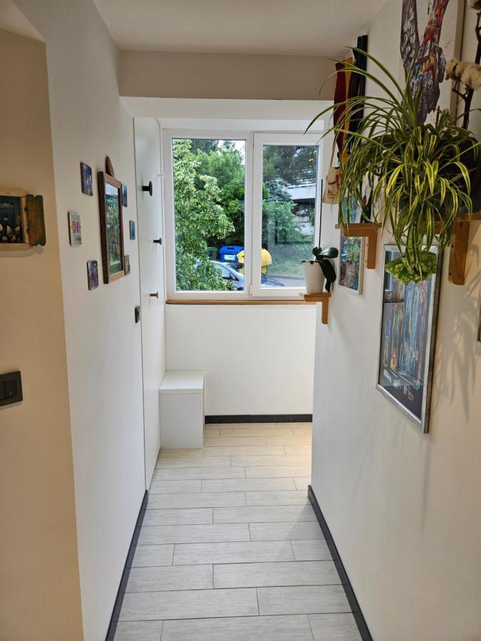 Apartman Carnevalus 里耶卡 外观 照片