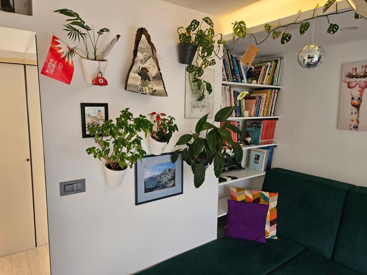 Apartman Carnevalus 里耶卡 外观 照片