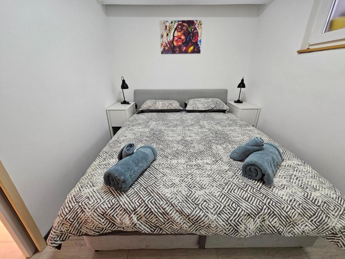 Apartman Carnevalus 里耶卡 外观 照片