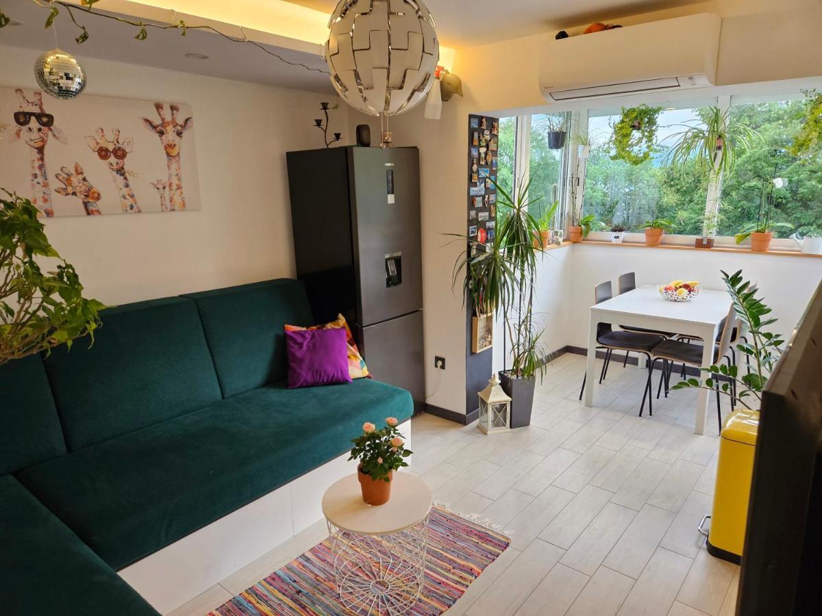 Apartman Carnevalus 里耶卡 外观 照片
