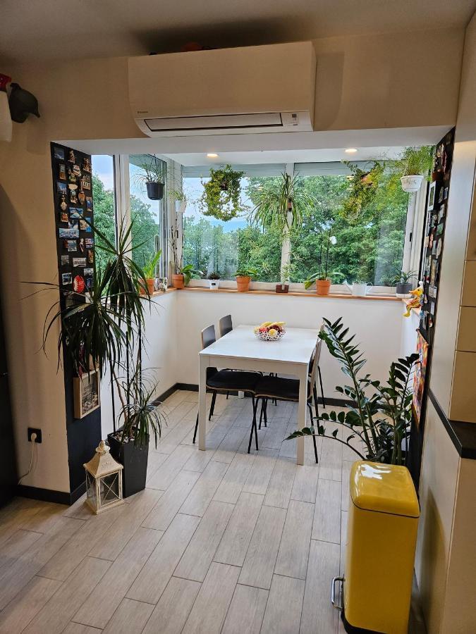 Apartman Carnevalus 里耶卡 外观 照片